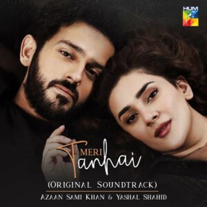 Read more about the article Meri Tanhai Episode 18