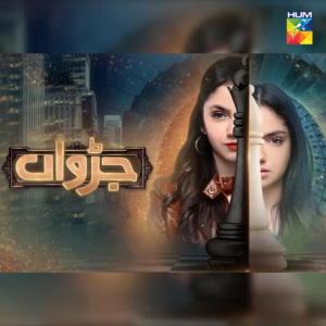 Read more about the article Judwaa Episode 32